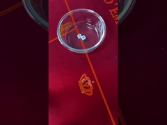 Κόκκινα ζάρια υδραργύρου Εξαπάτηση συσκευή πλαστικών παιχνιδιών τυχερών παιχνιδιών ζάρια